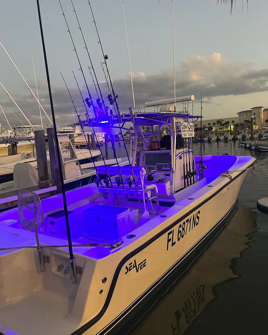 Tom Cat lit up with blue underwater lights at the marina at night