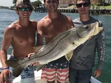 Three friends holding a big snook caught on an inshore trip