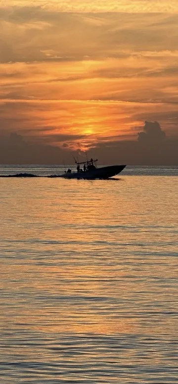 Tom Cat cruising across calm water at sunset